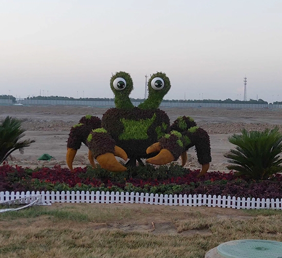 上海五色草動物造型